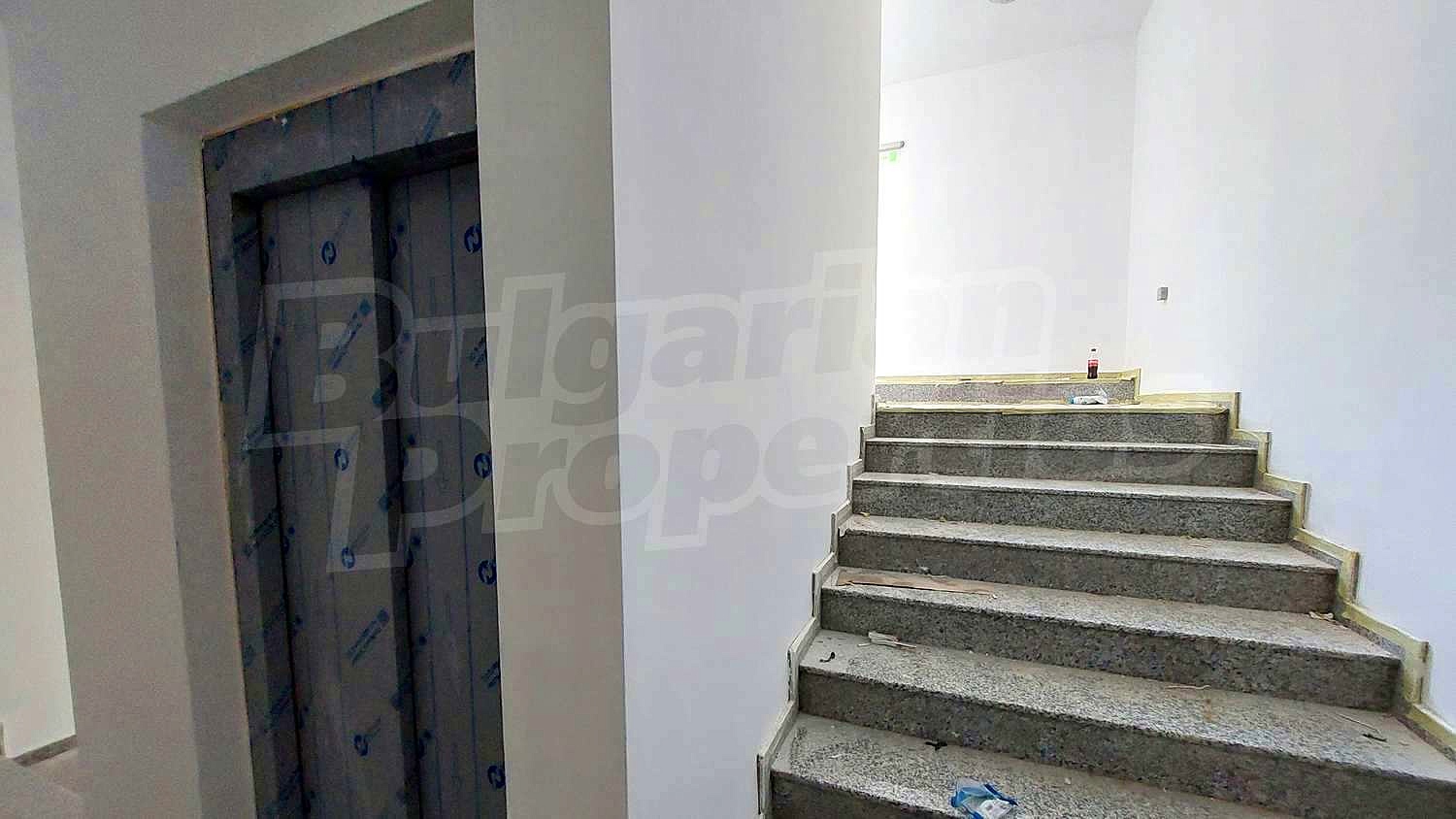 Gallery Picture 15