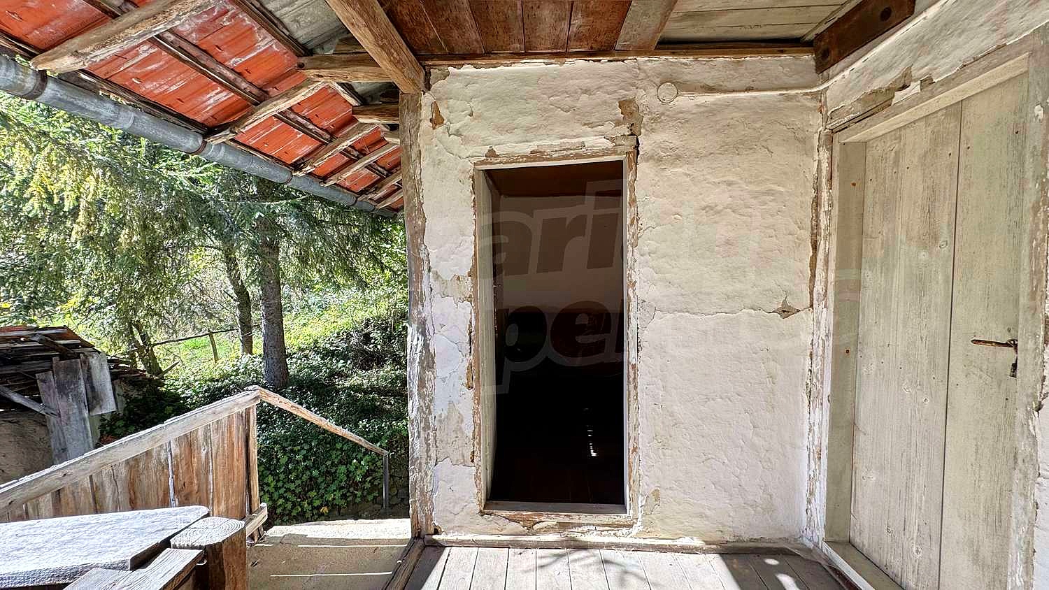 Gallery Picture 23