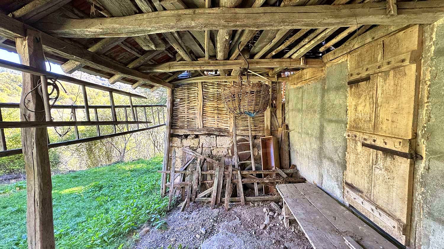 Gallery Picture 46