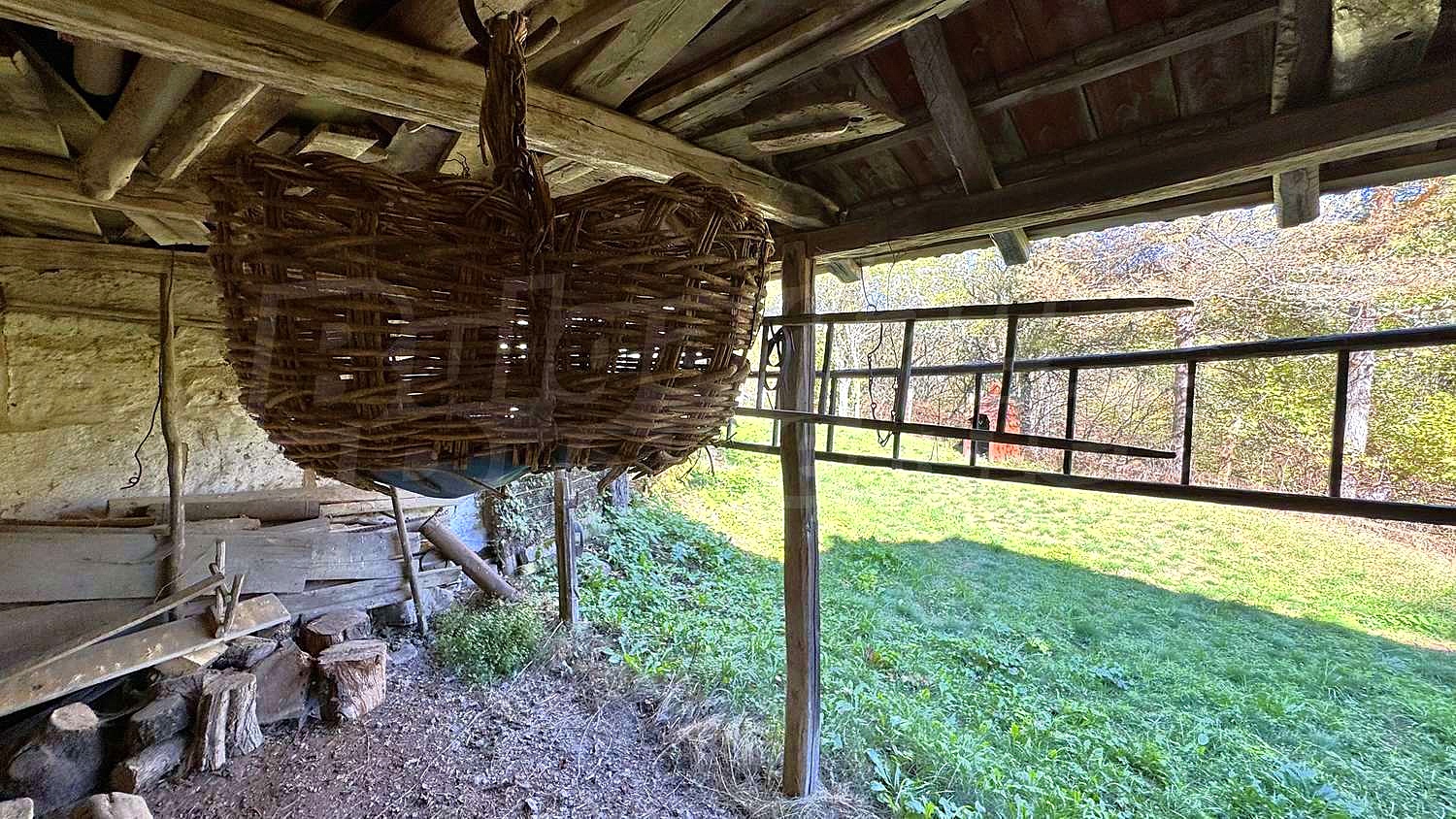 Gallery Picture 47