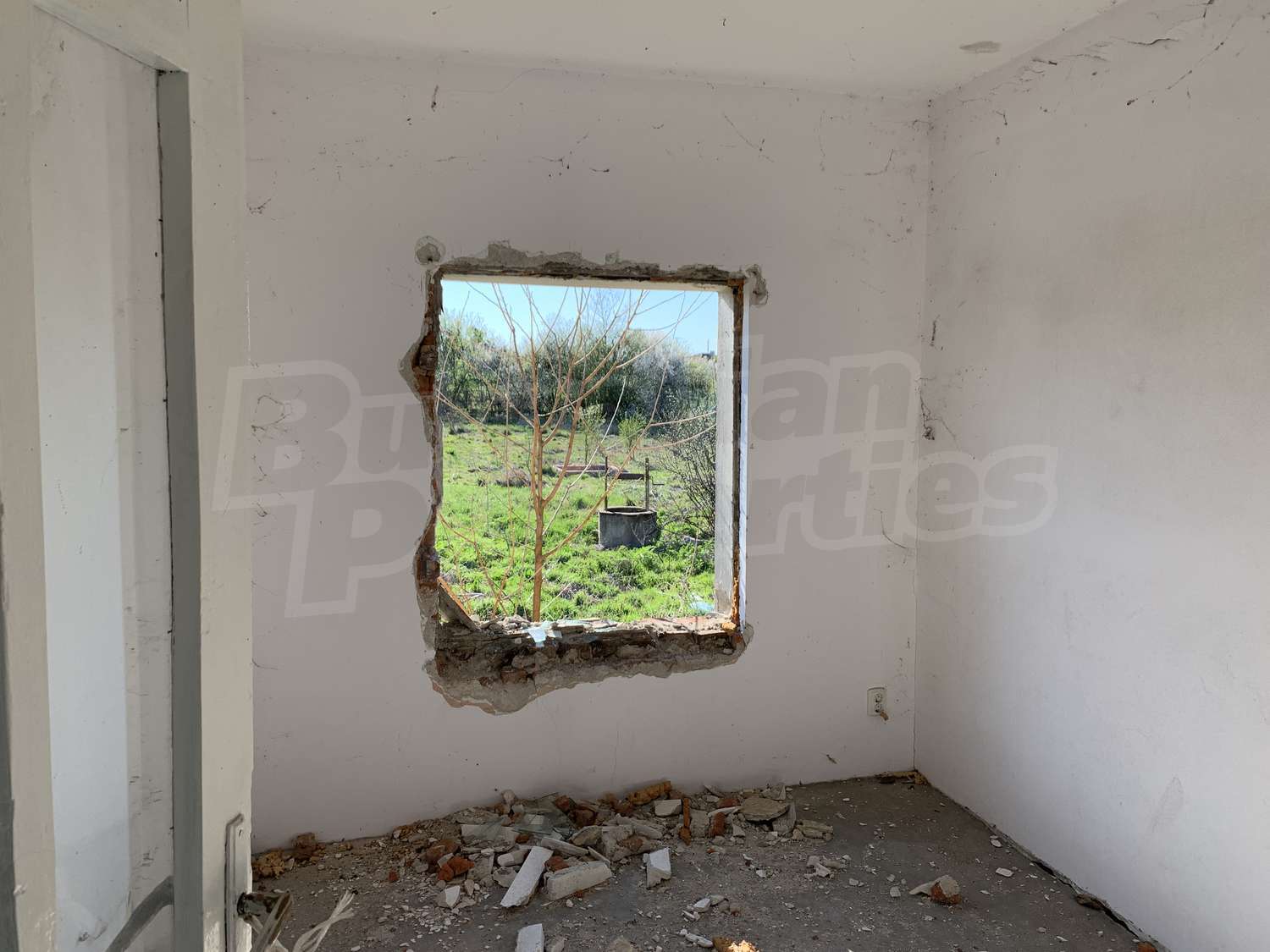 Gallery Picture 10