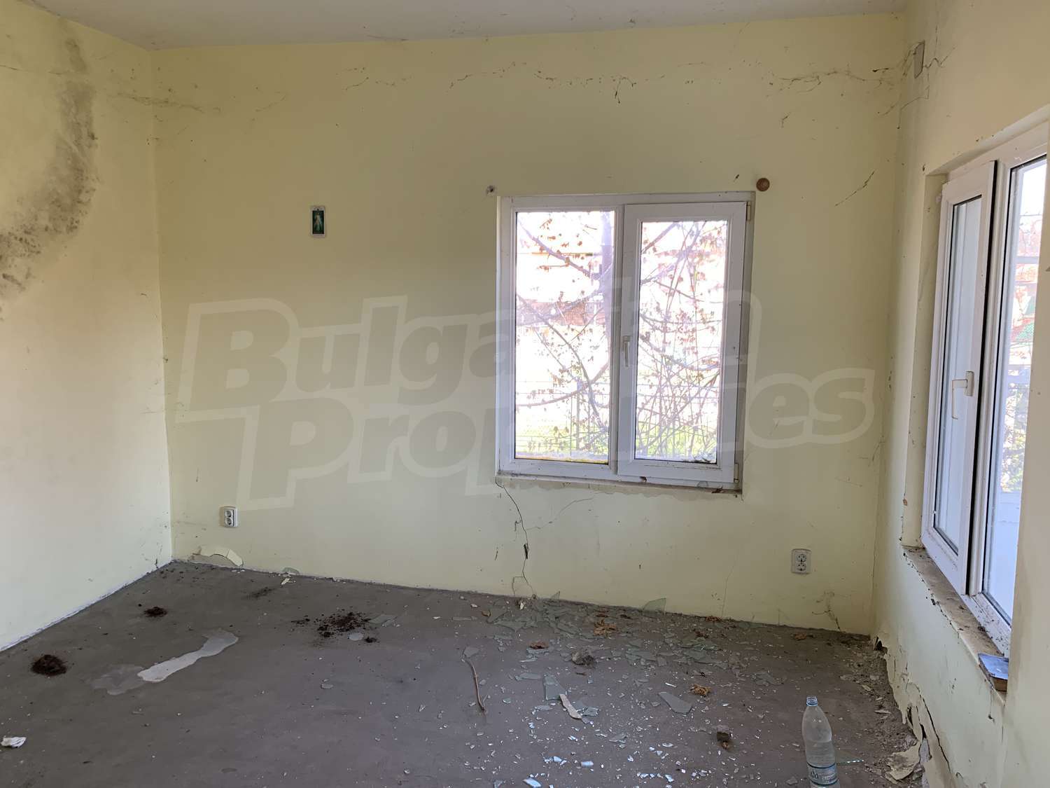 Gallery Picture 11