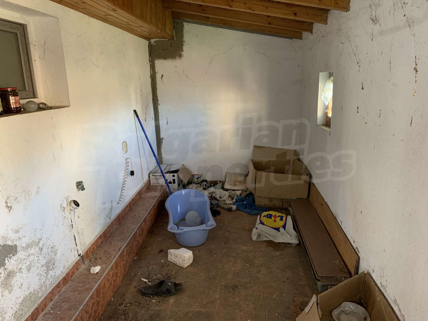 Gallery Picture 19