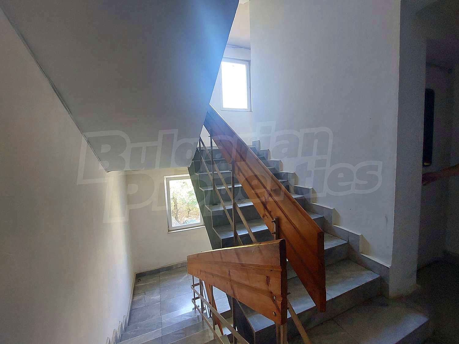 Gallery Picture 22