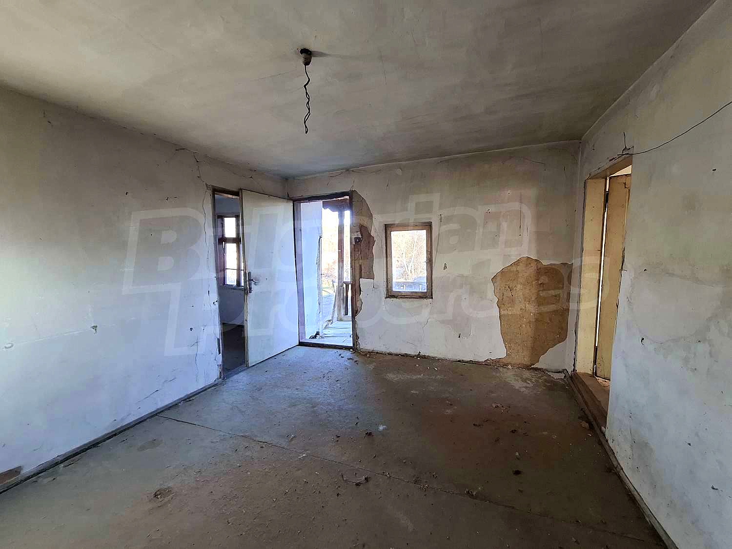 Gallery Picture 15