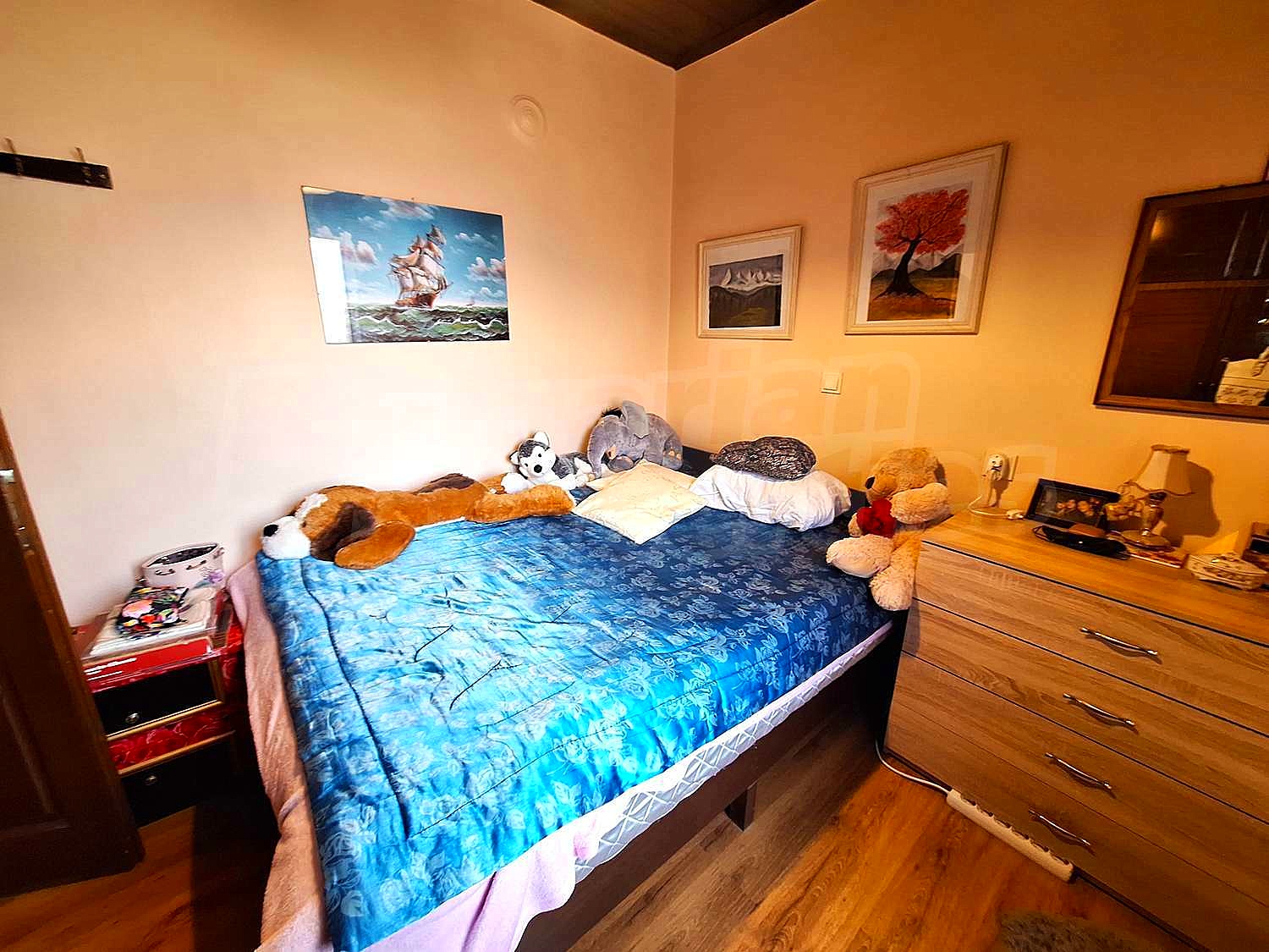 Gallery Picture 23