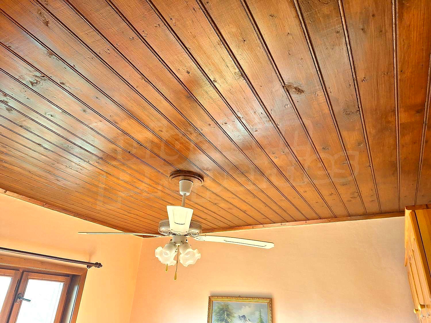 Gallery Picture 24