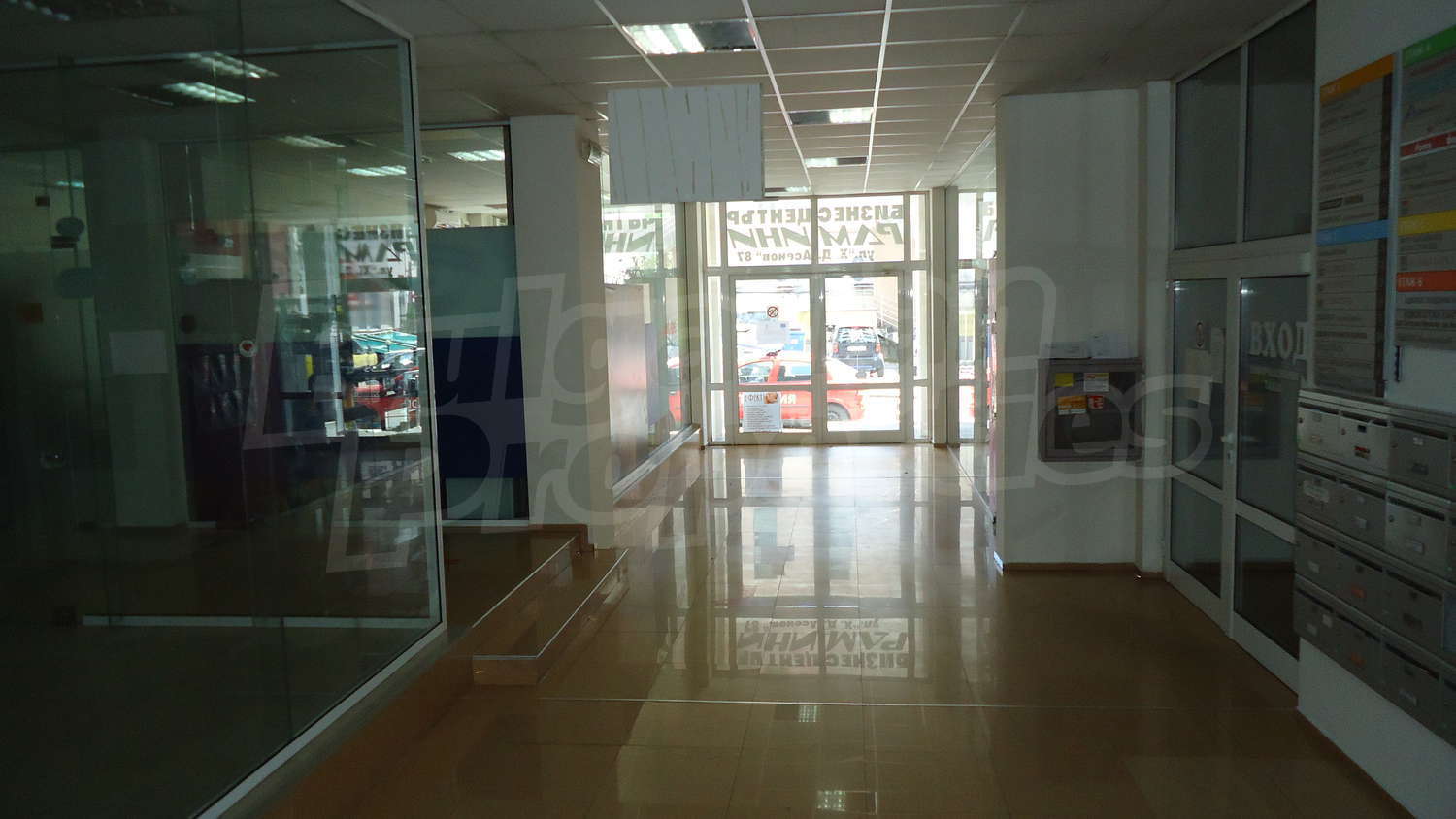Gallery Picture 7