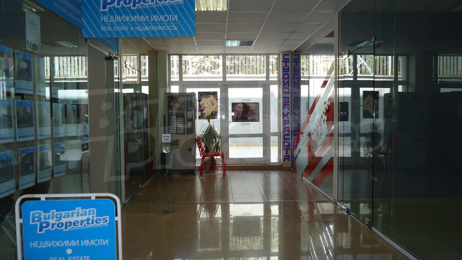 Gallery Picture 8