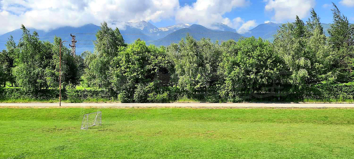 Gallery Picture 16