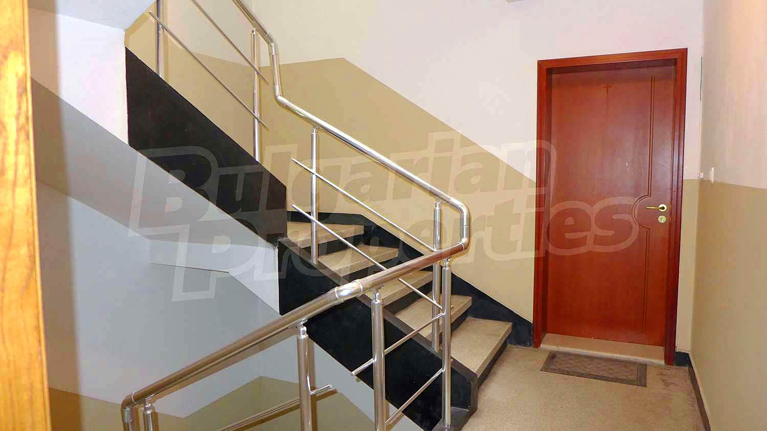 Gallery Picture 26