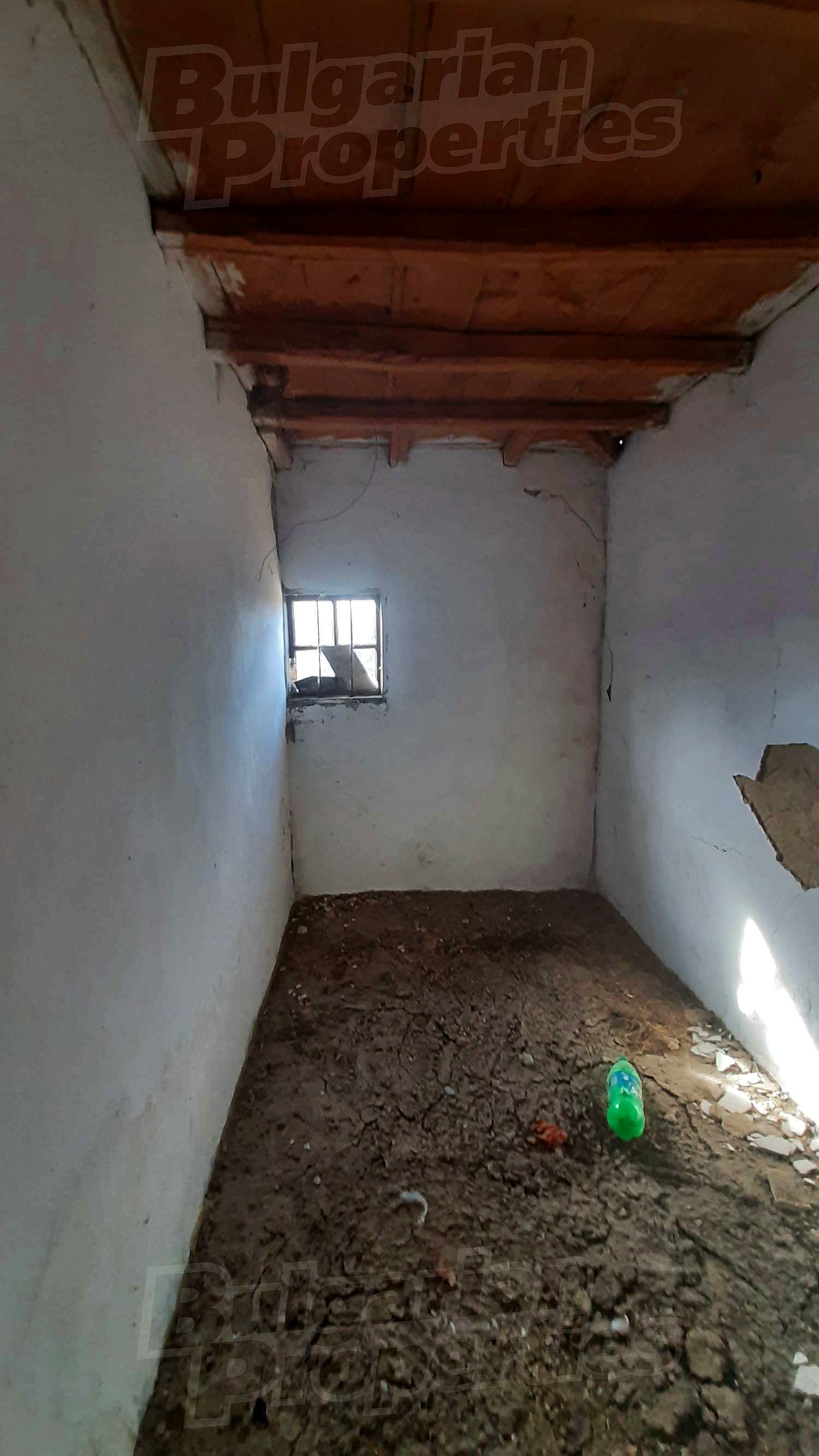 Gallery Picture 10