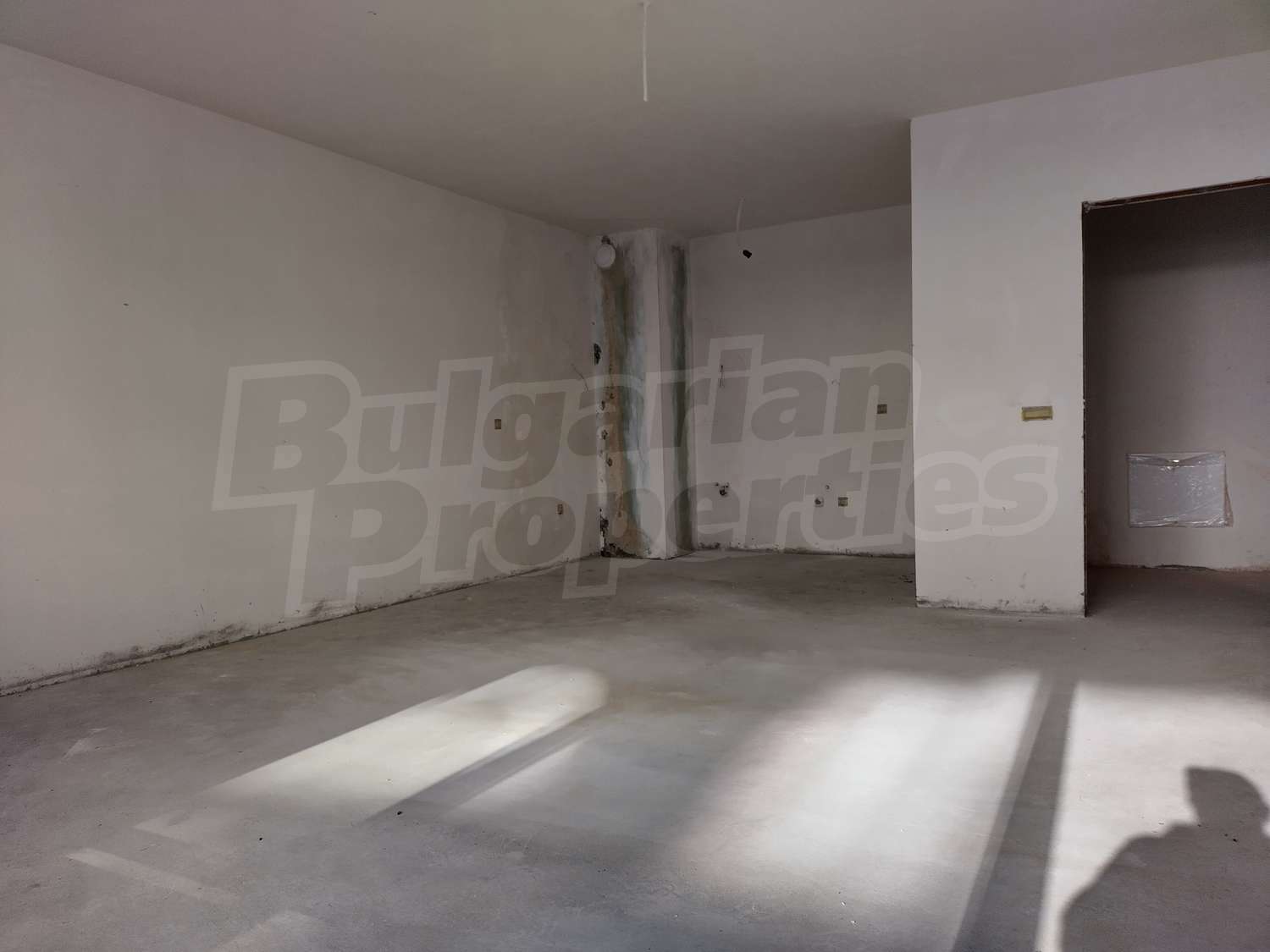 Gallery Picture 29