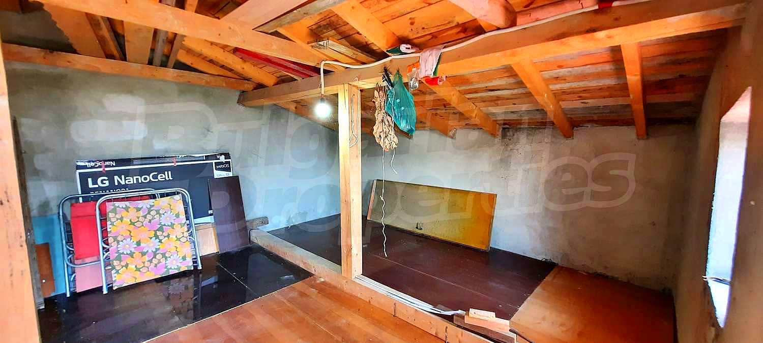 Gallery Picture 44