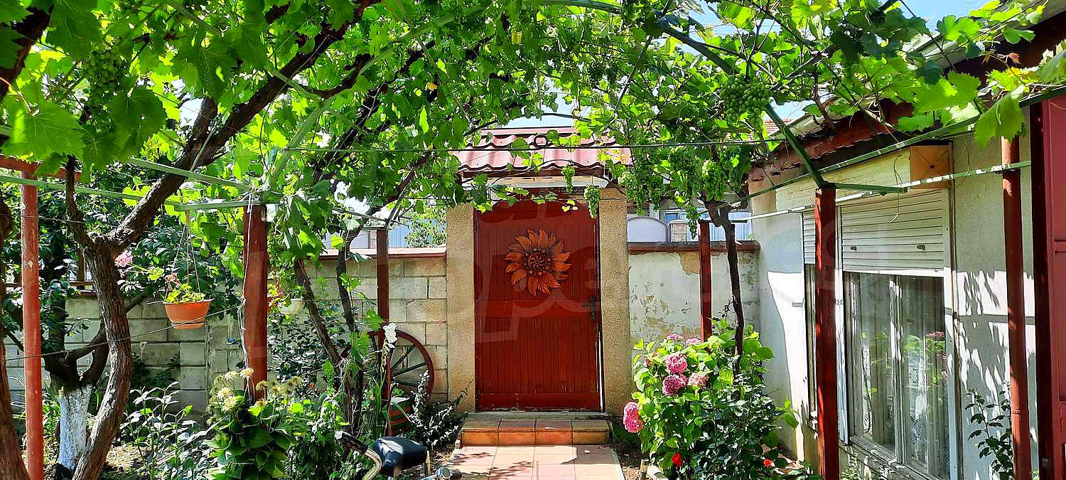 Gallery Picture 59
