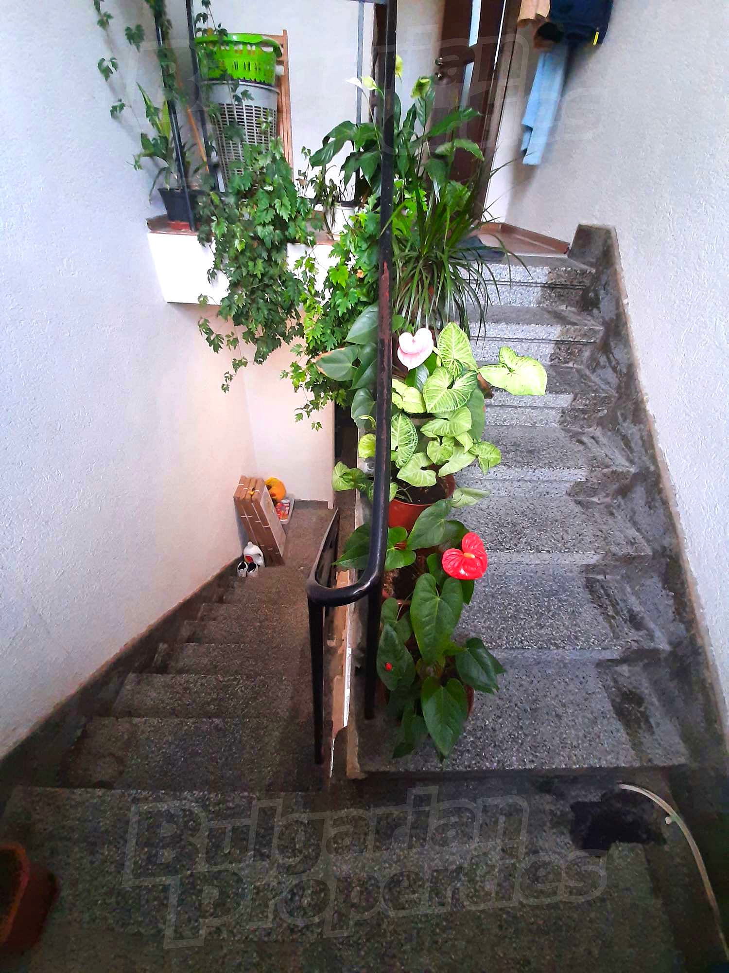 Gallery Picture 12
