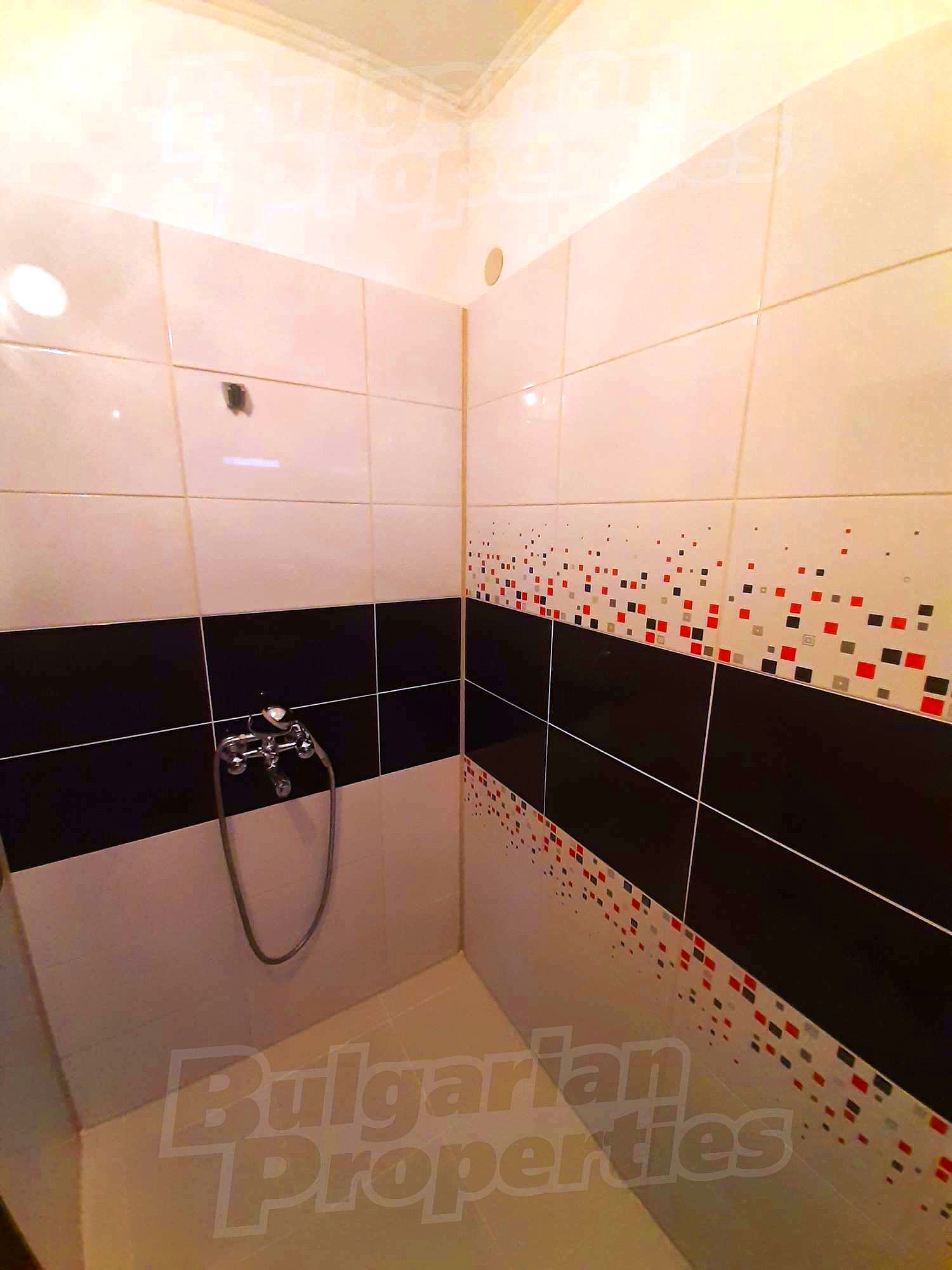 Gallery Picture 17