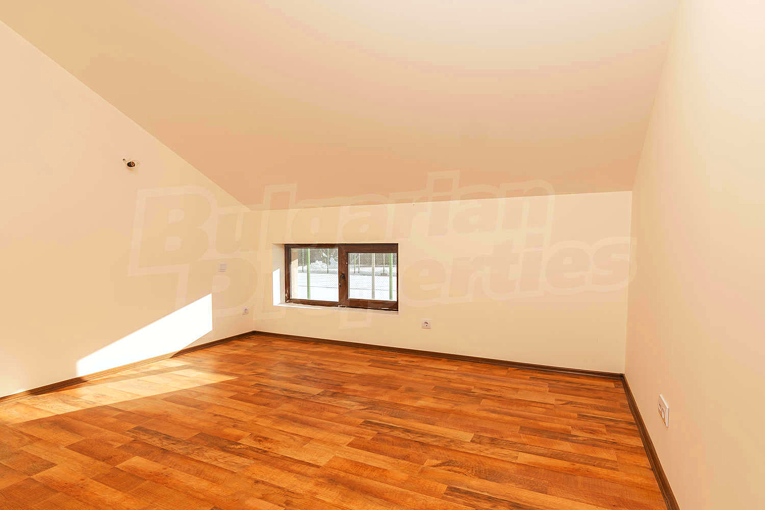 Gallery Picture 27