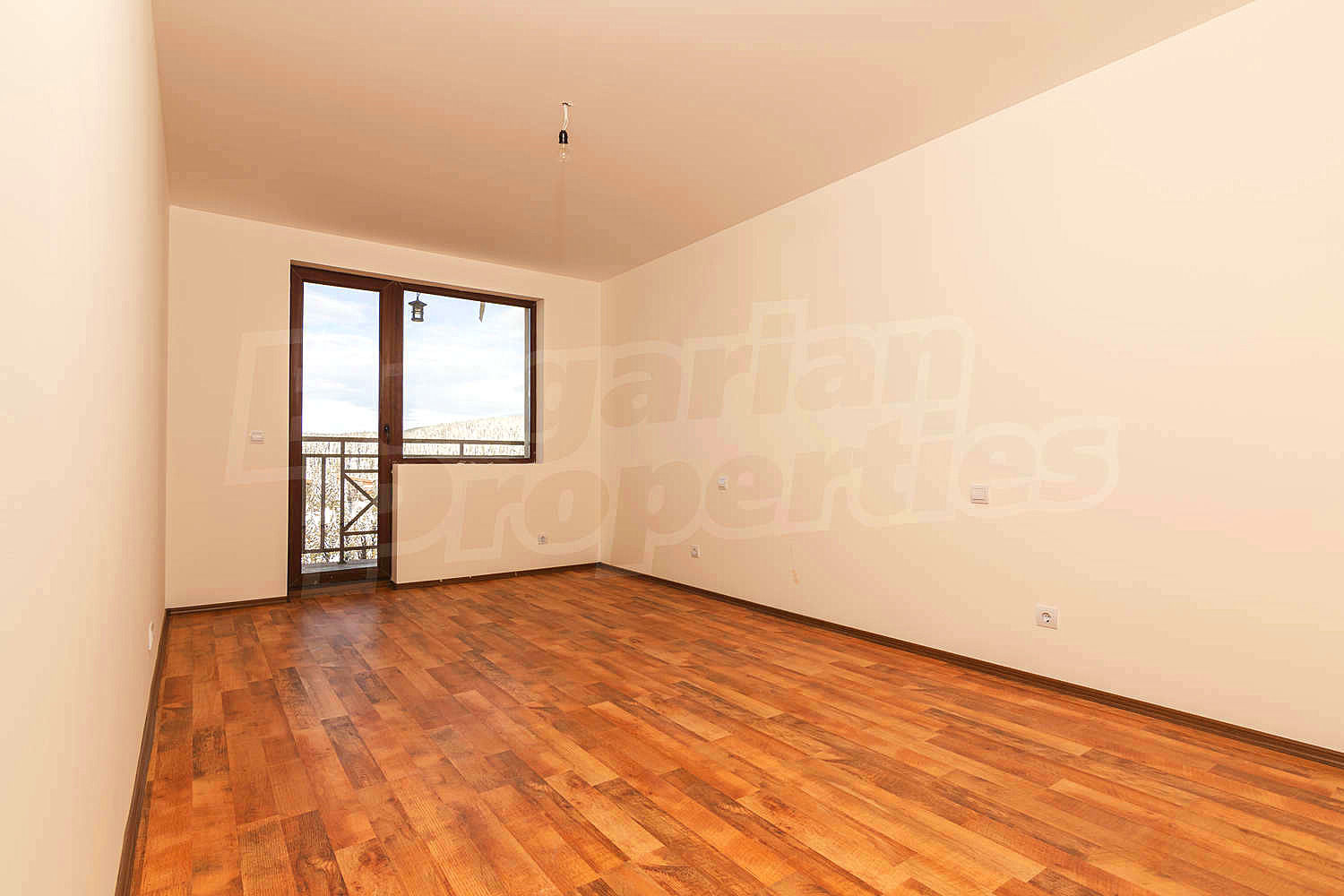 Gallery Picture 29