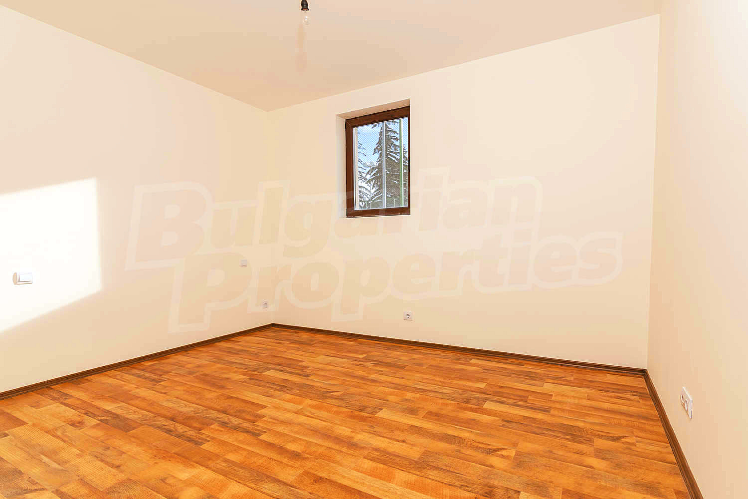 Gallery Picture 30