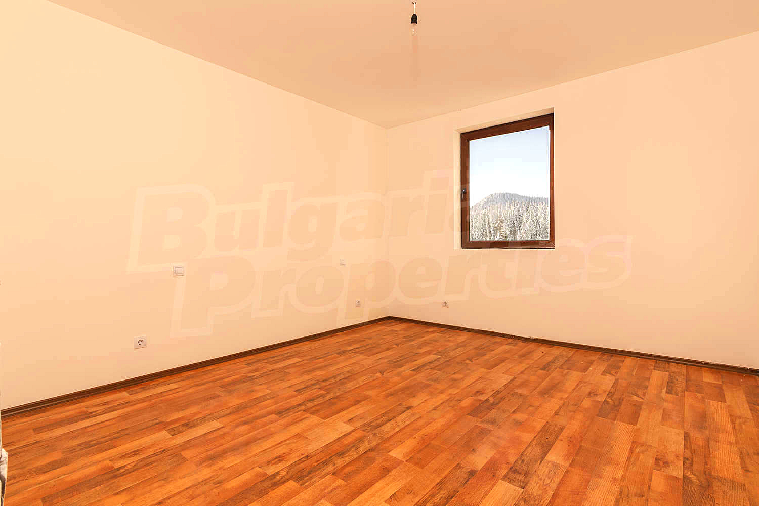 Gallery Picture 31