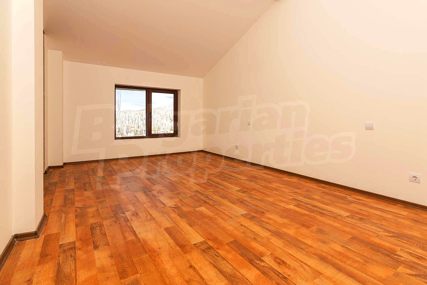 Gallery Picture 32