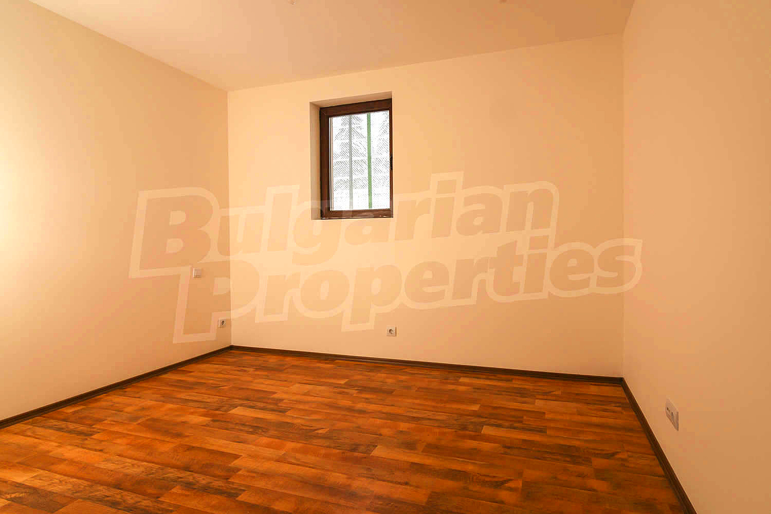 Gallery Picture 35