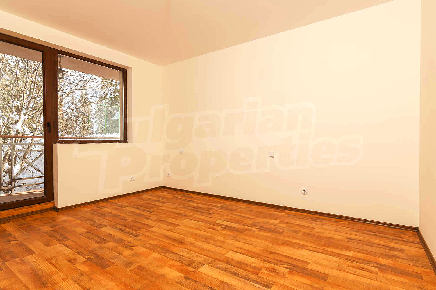 Gallery Picture 37
