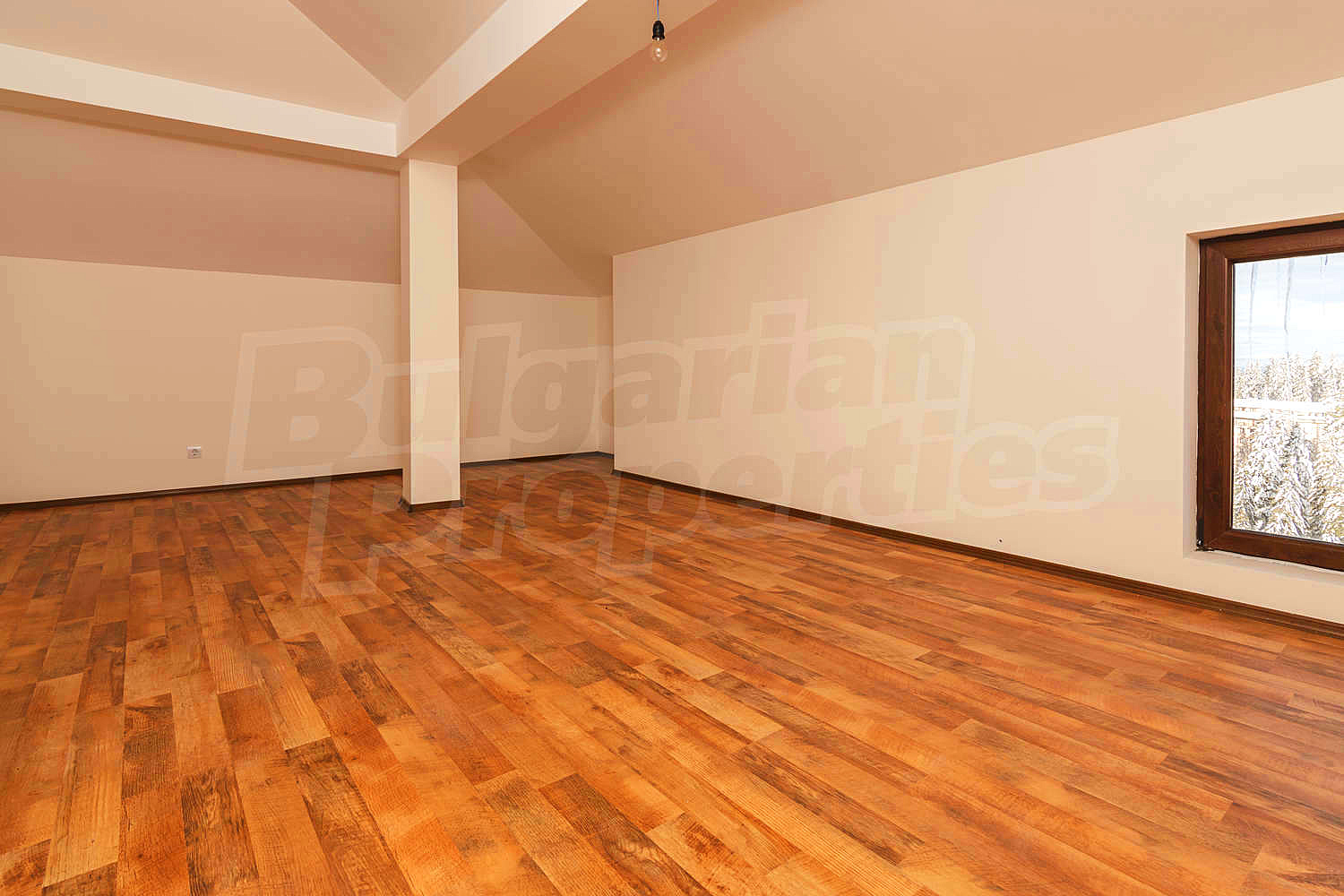 Gallery Picture 39