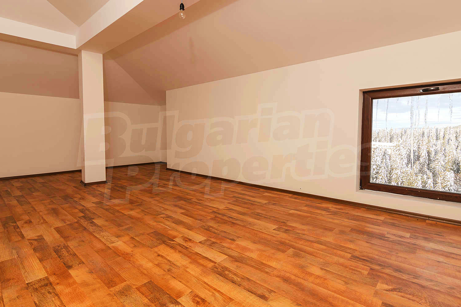Gallery Picture 40