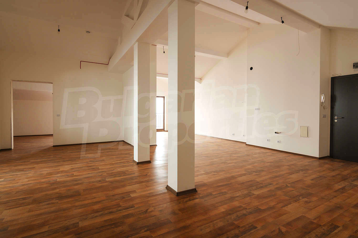 Gallery Picture 45