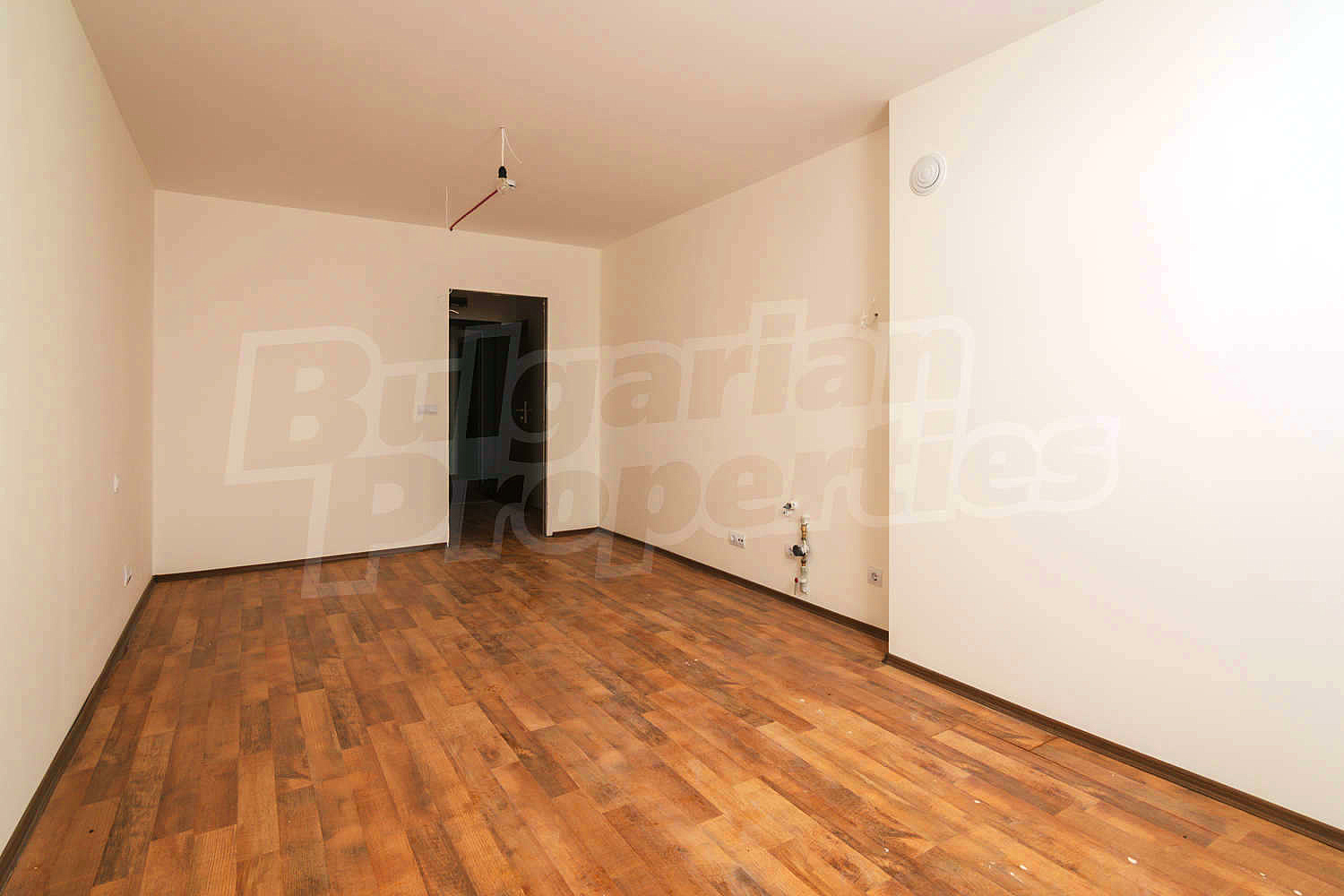 Gallery Picture 46
