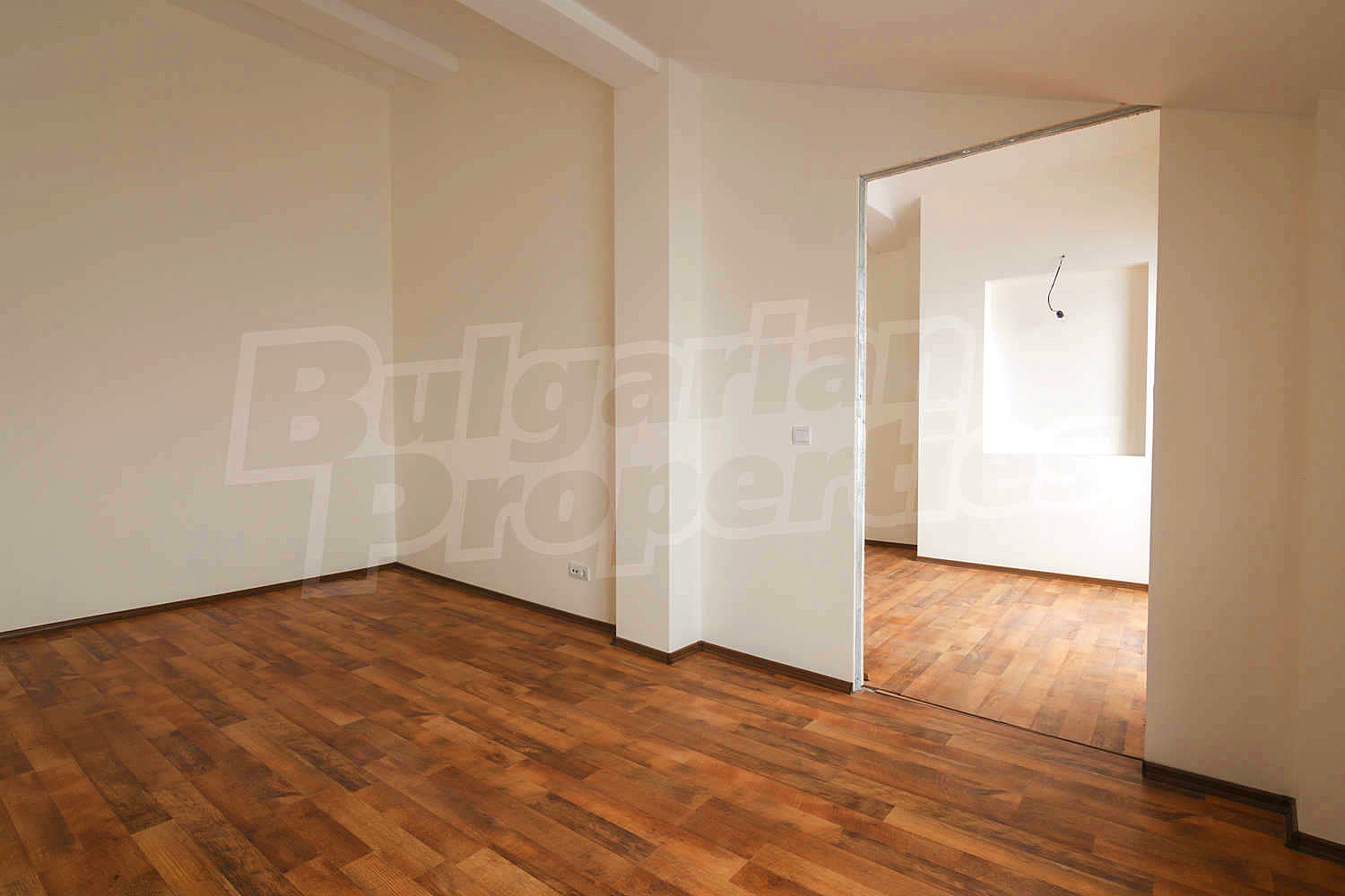 Gallery Picture 47