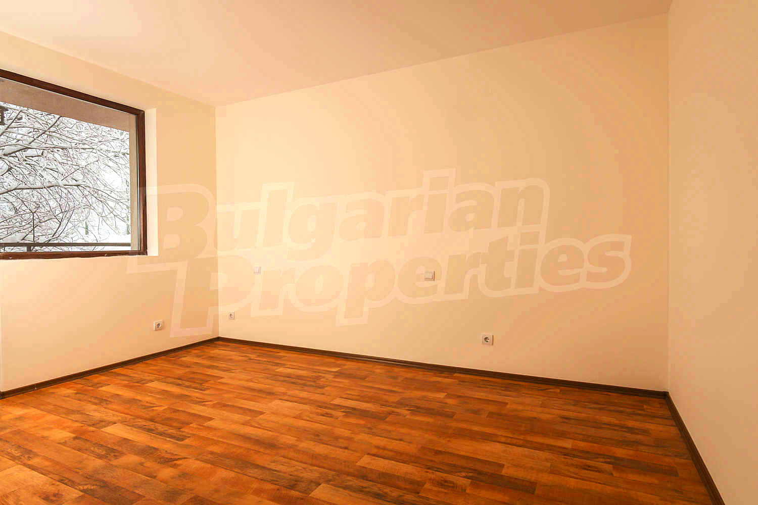 Gallery Picture 49