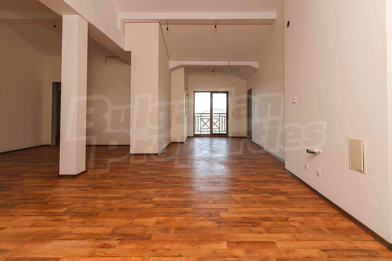 Gallery Picture 51