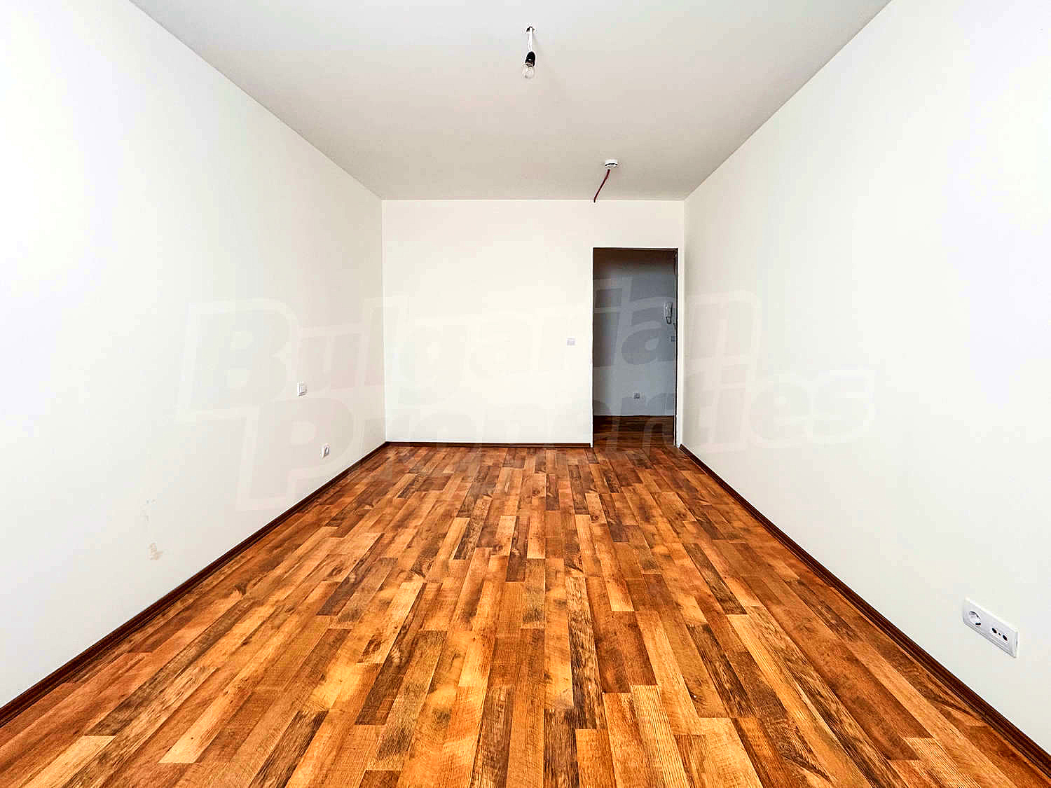 Gallery Picture 15