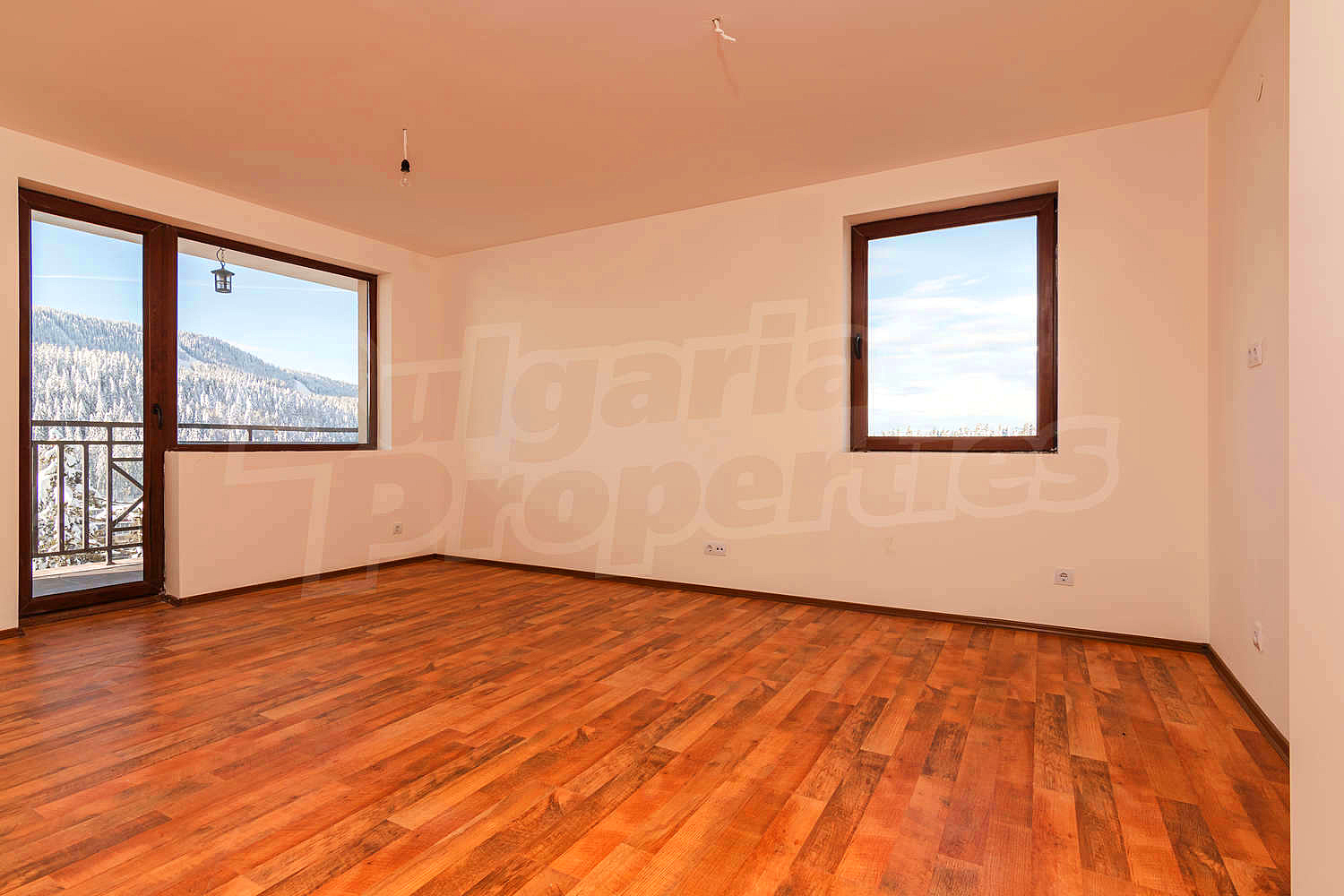 Gallery Picture 54