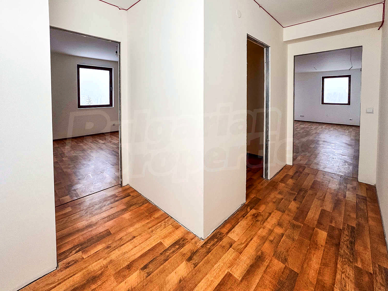 Gallery Picture 17