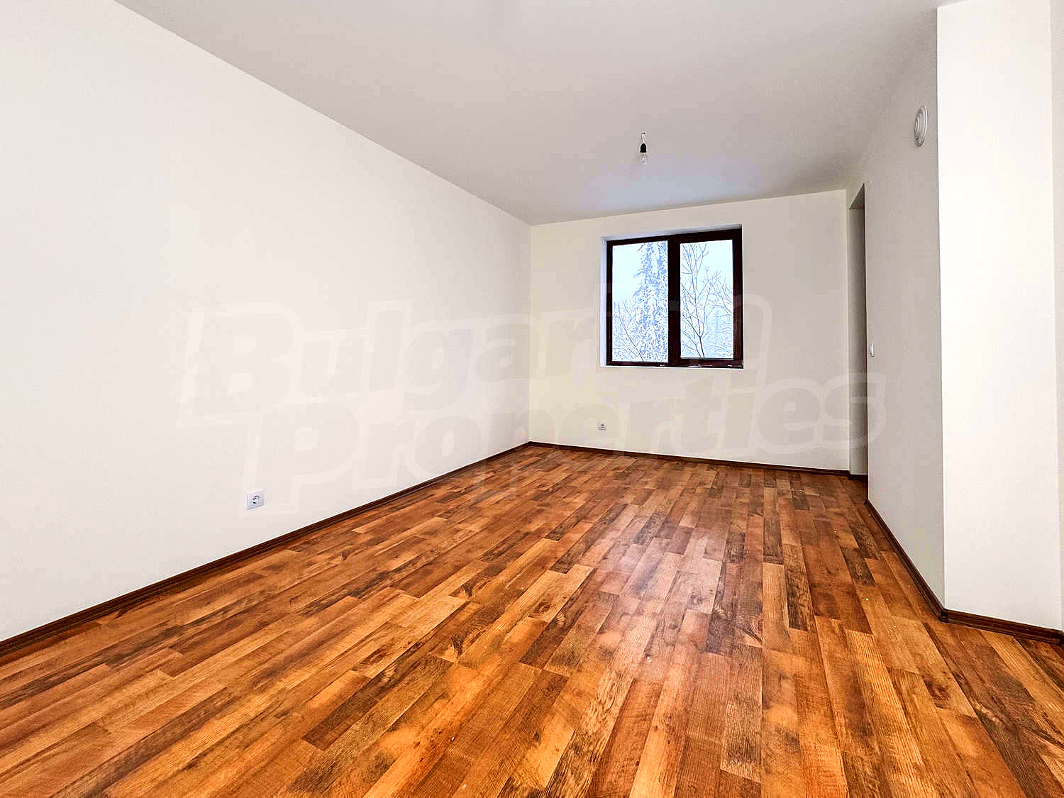 Gallery Picture 18