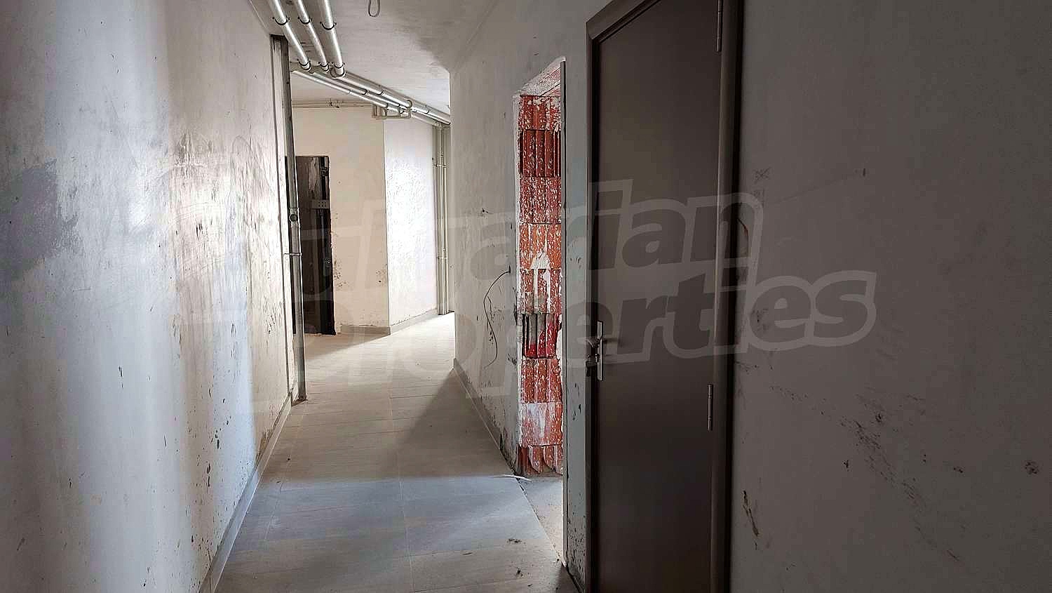 Gallery Picture 16