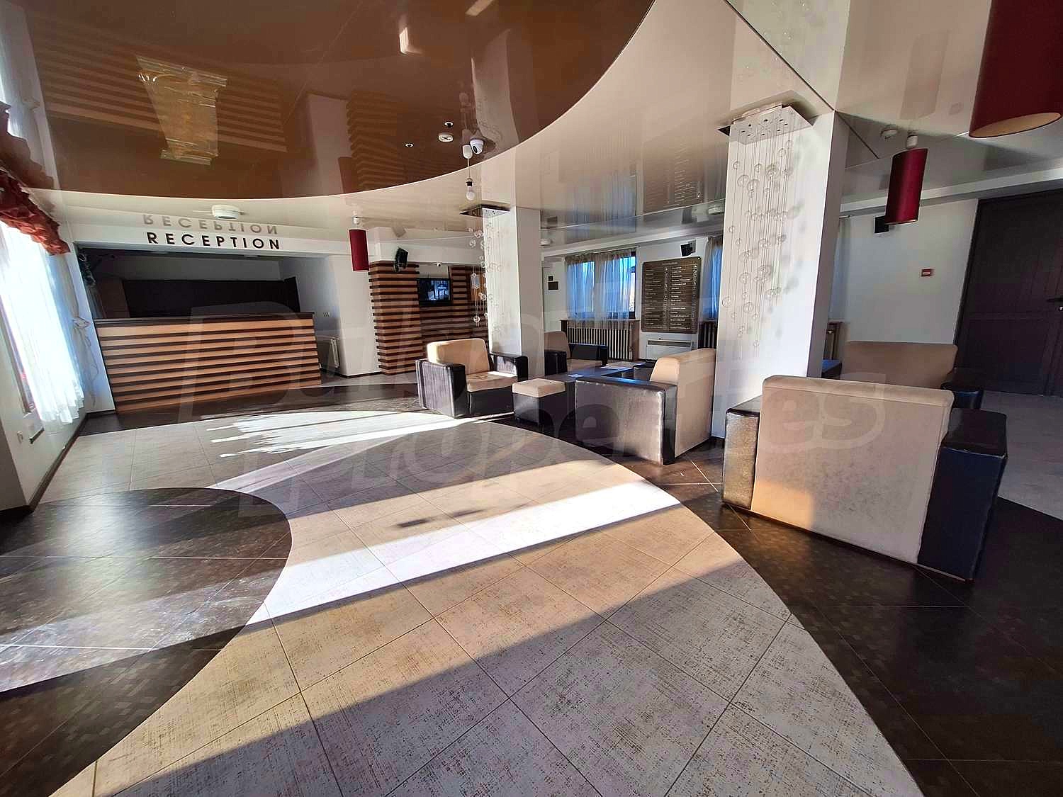 Gallery Picture 6