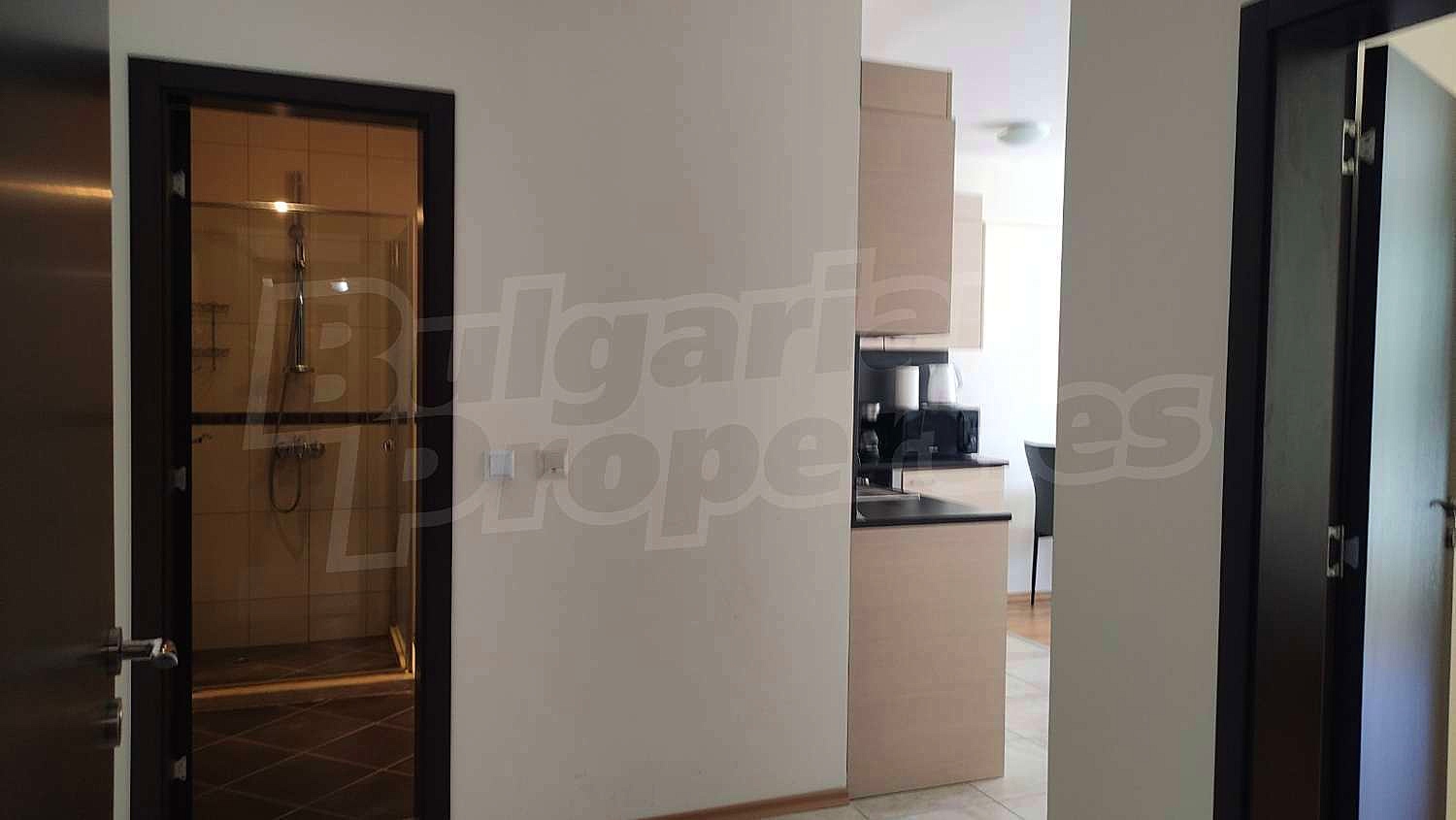 Gallery Picture 6