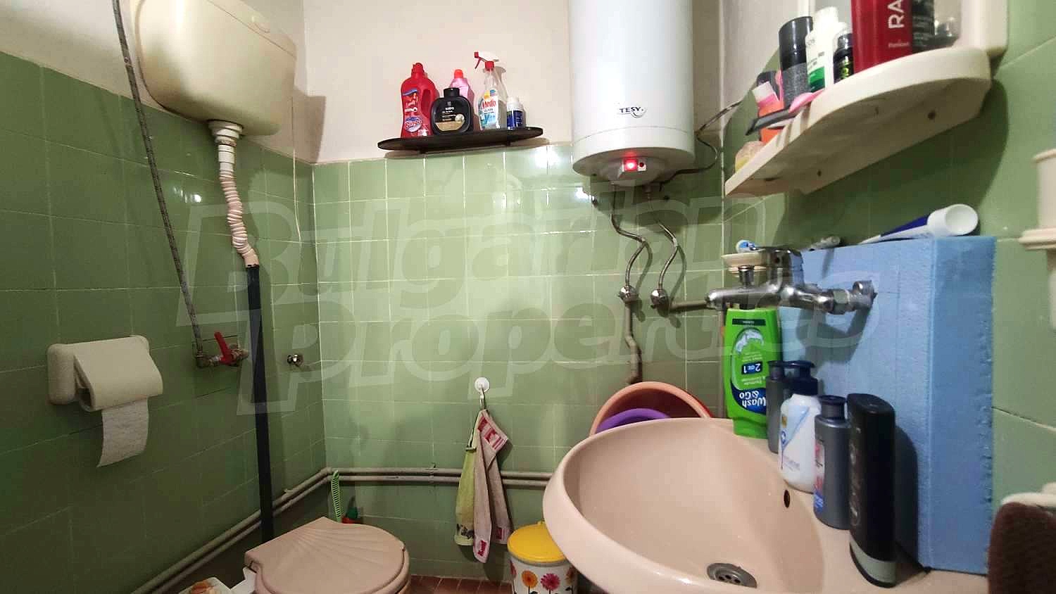 Gallery Picture 27
