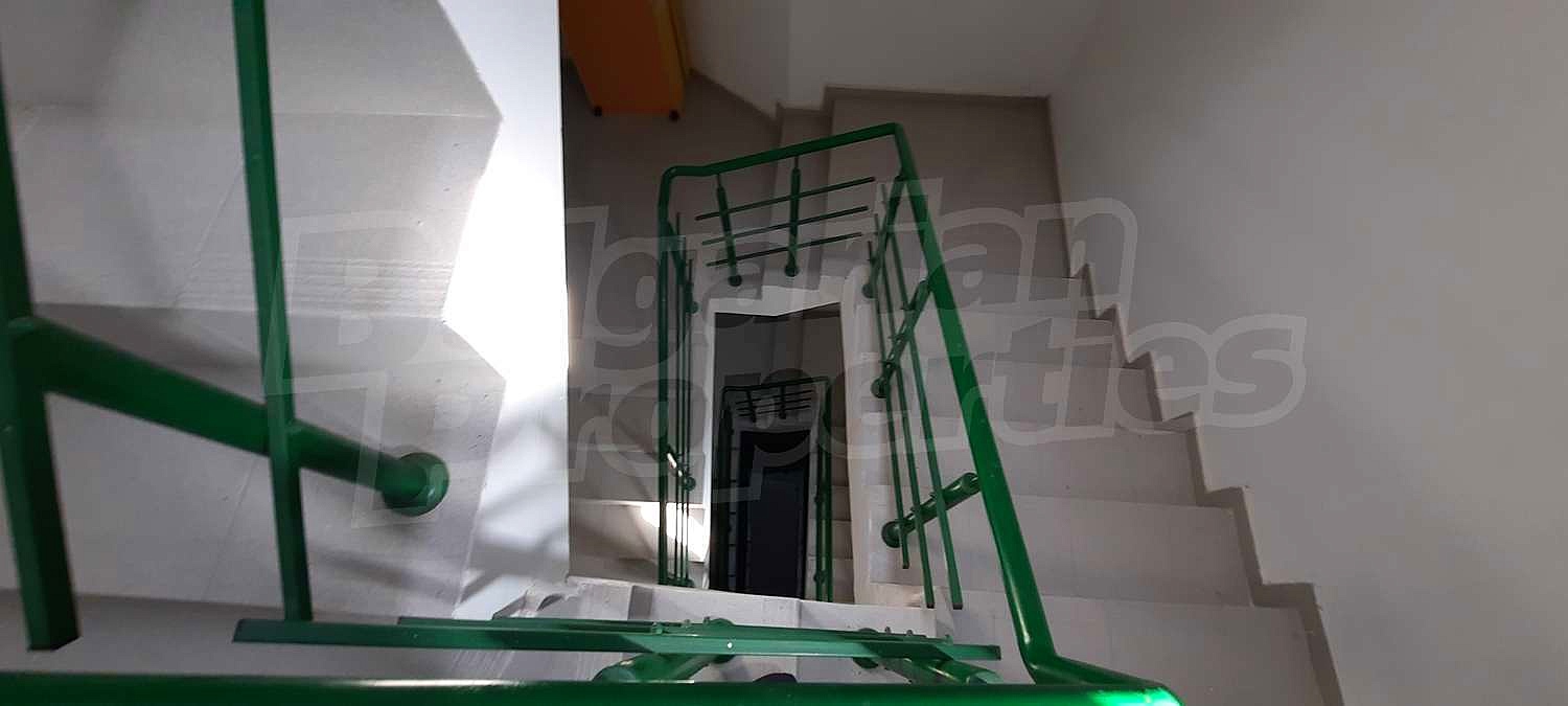 Gallery Picture 28