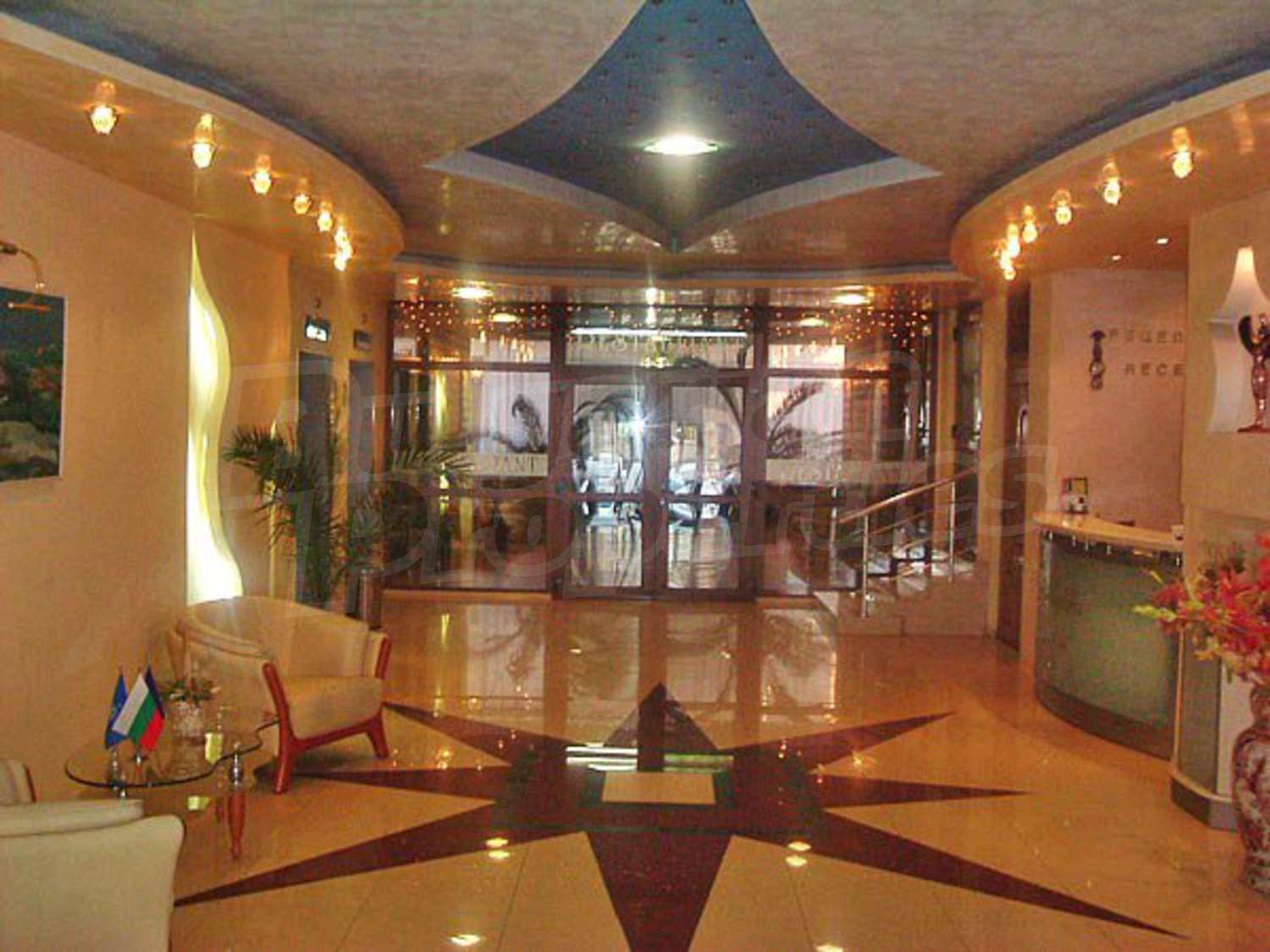 Gallery Picture 14