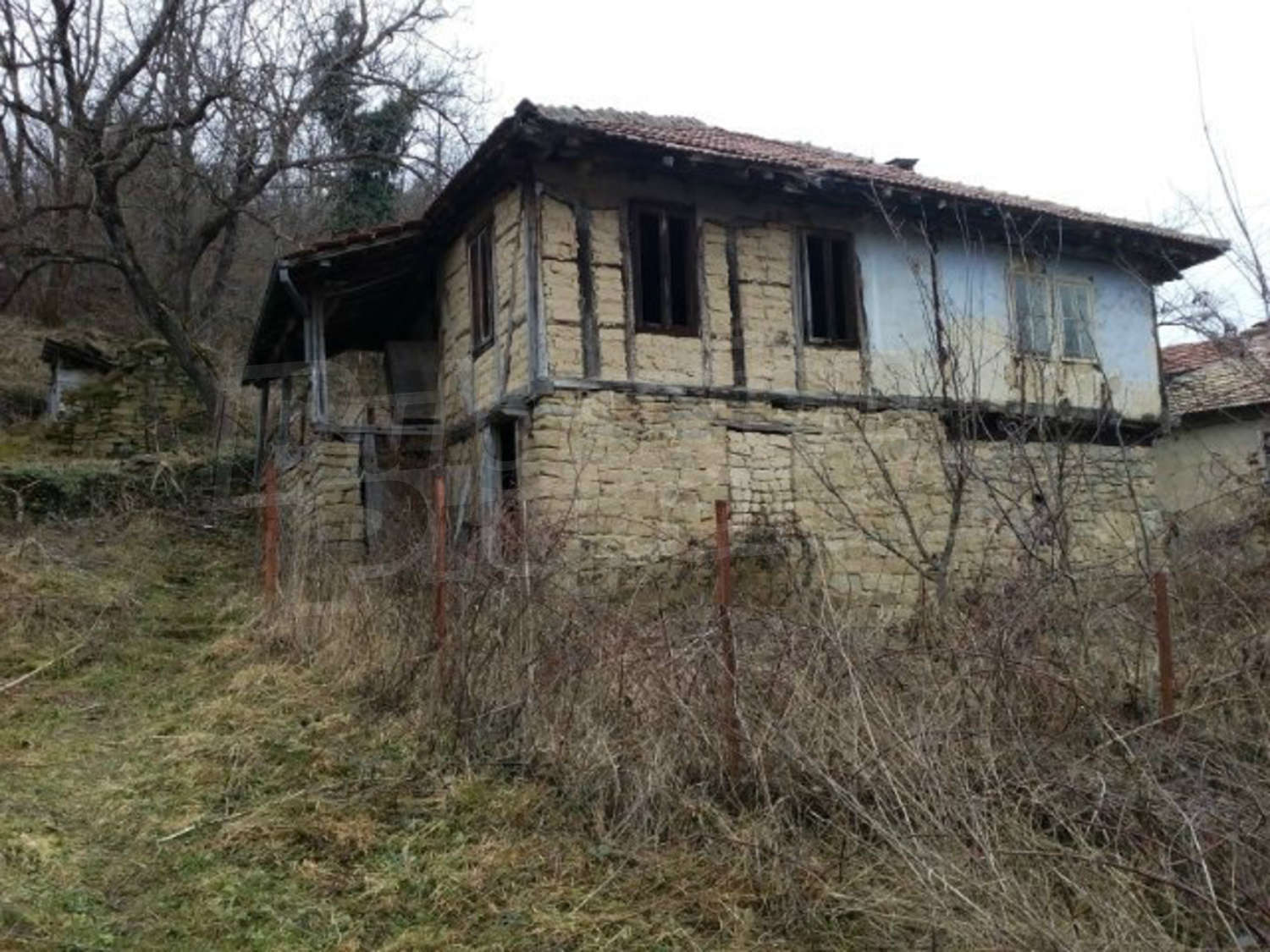 Gallery Picture 7