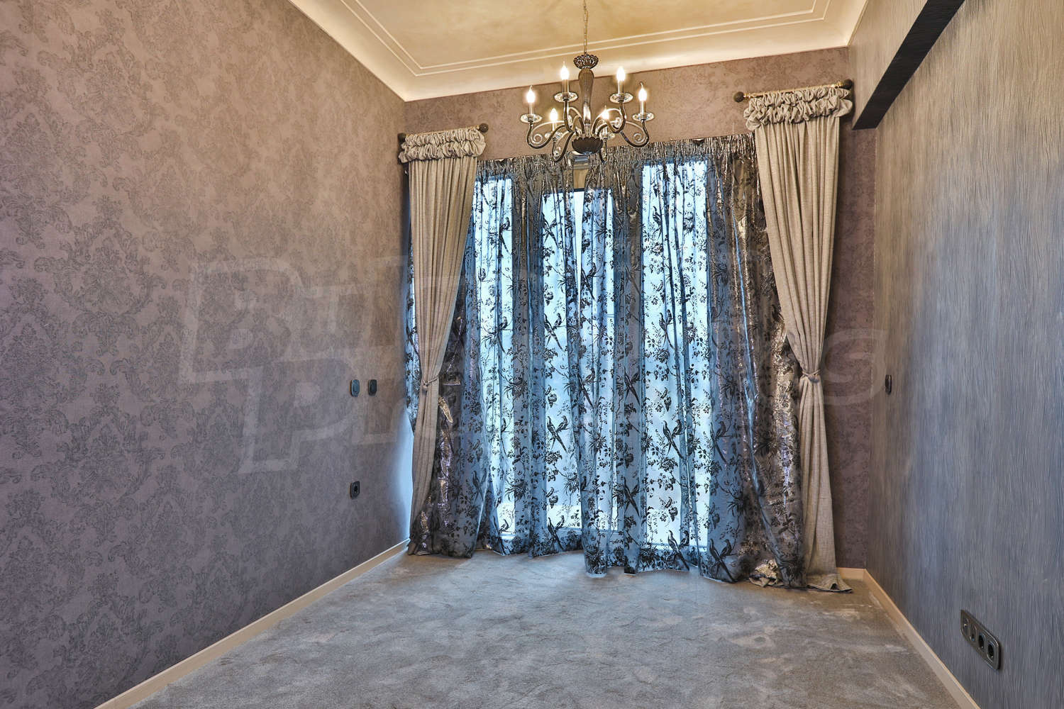 Gallery Picture 16