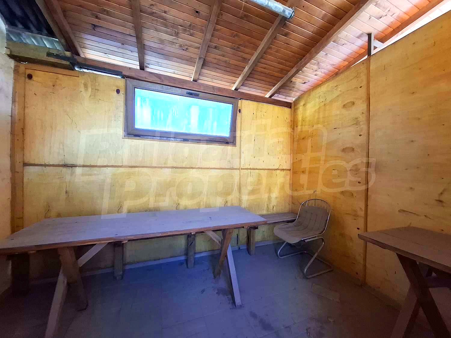 Gallery Picture 51