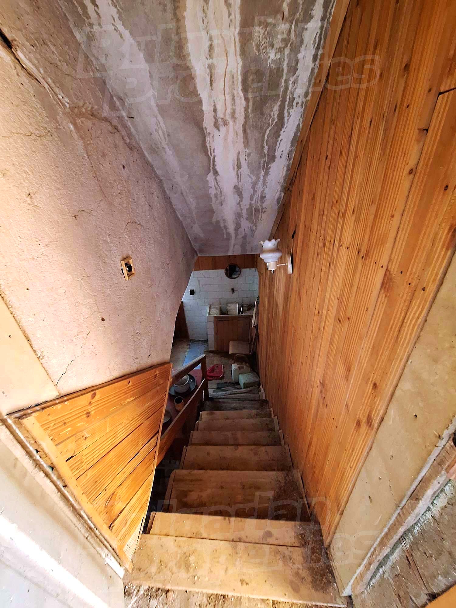 Gallery Picture 10