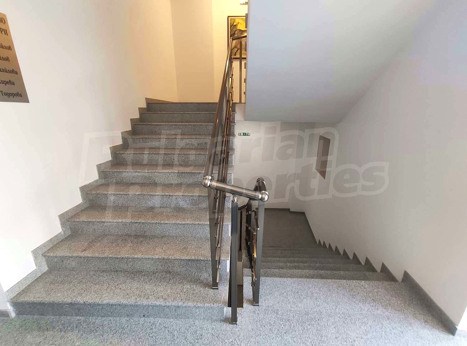 Gallery Picture 14